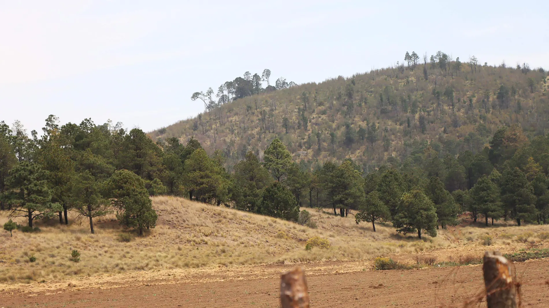 Las Vigas-San Juan del Monte-reserva-incendio-2abril-ricardo13